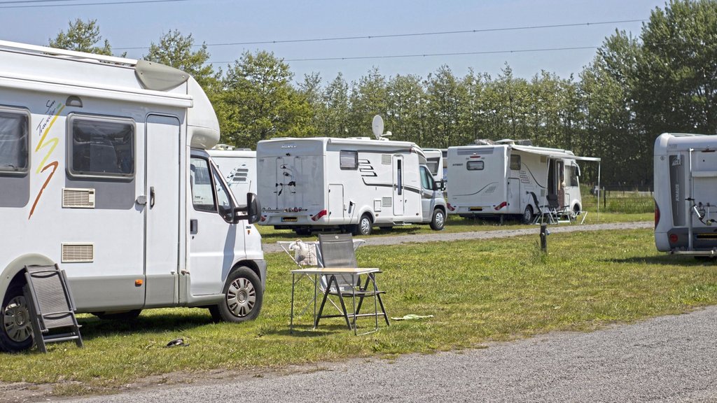 Topp campingplasser rundt Amsterdam